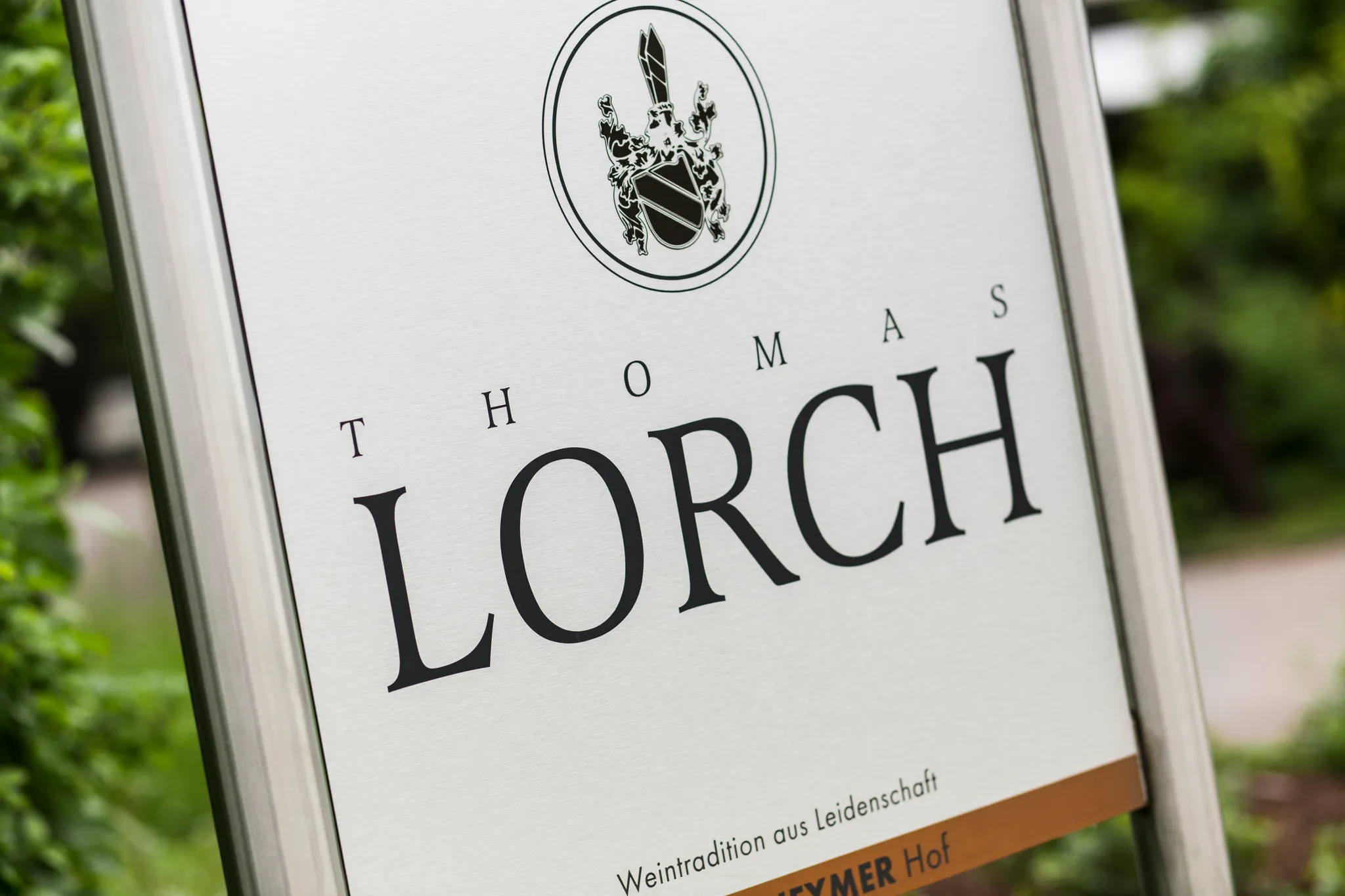 Weitläufige Weinberge in Rheinhessen bei Bodenheim